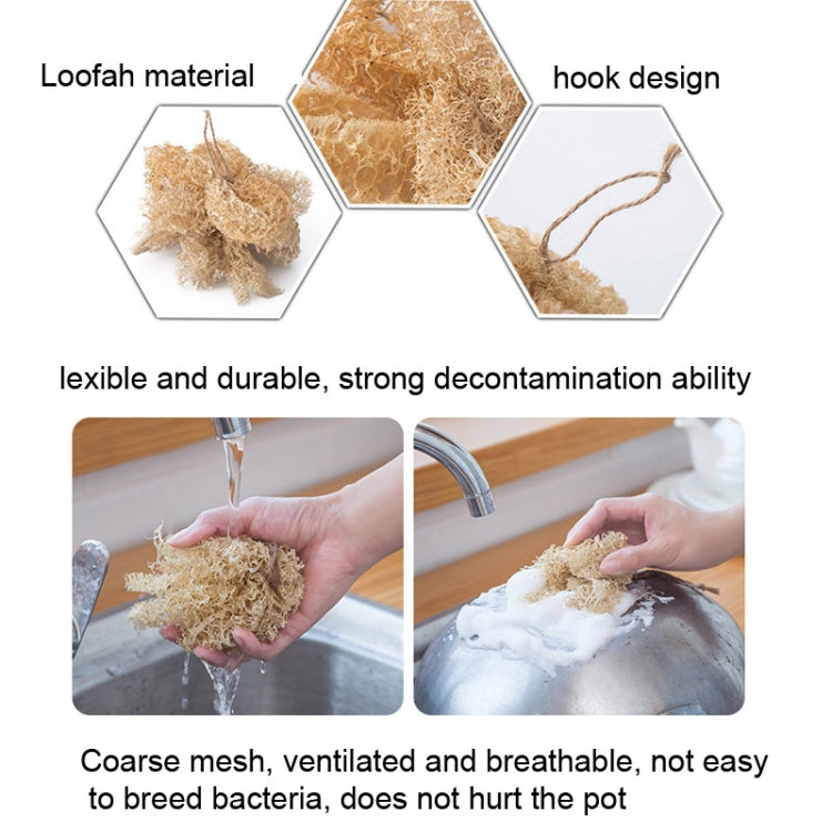 Kitchen Wooden Handle Cleaning Brush,Style: Loofah Pot Brush