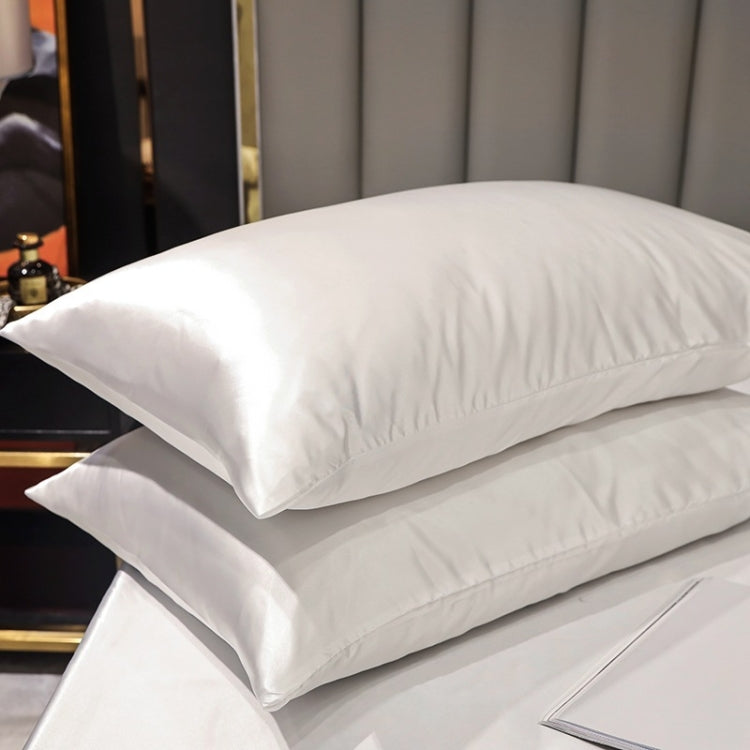 2 Pairs Ice Silk Pillowcase Home Textile Bedding, Size: 50x90cm