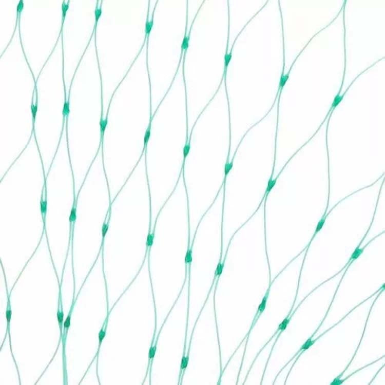 5Mx20M  Anti Bird Protection Net Mesh Garden Plant Netting Protect Plants and Fruit