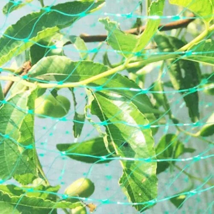5Mx20M  Anti Bird Protection Net Mesh Garden Plant Netting Protect Plants and Fruit