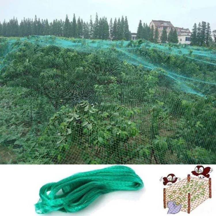 4Mx15M  Anti Bird Protection Net Mesh Garden Plant Netting Protect Plants and Fruit