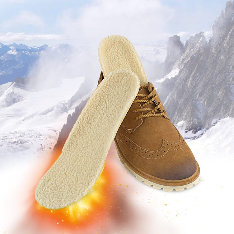 Imitation Lamb Wool Thickened Invisible Thermal Insole, Size: