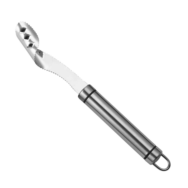 10 PCS Stainless Steel Pepper Seed Decator Fruit Kernel Knife Diplonema Handle