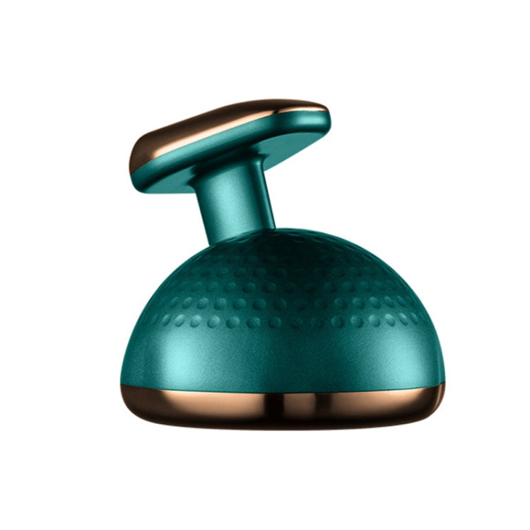 RW-ST2006 Household EMS Microcurrent Slimming RF Weight Loss Instrument(Green)