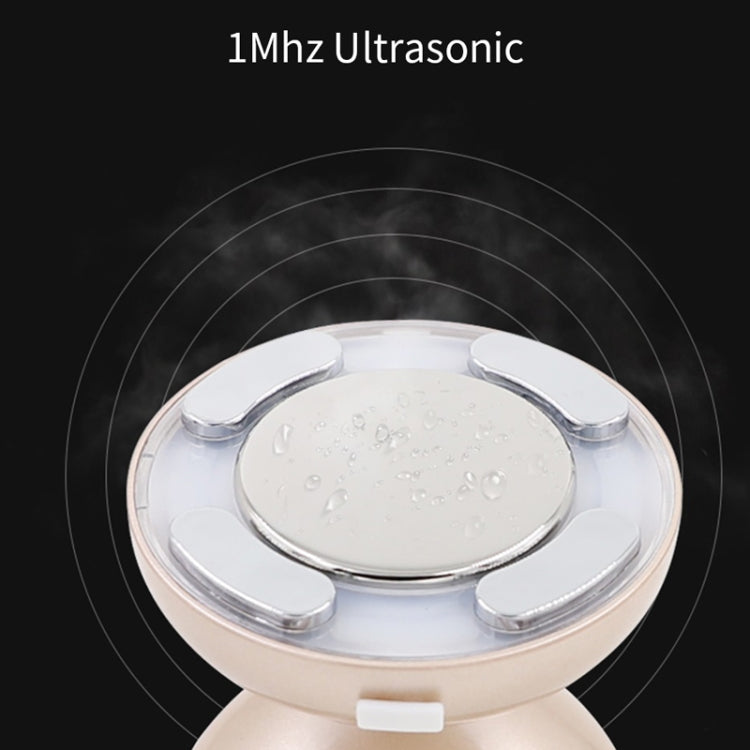 Ultrasonic Color Light RF Beauty Instrument Fat Blasting Instrument
