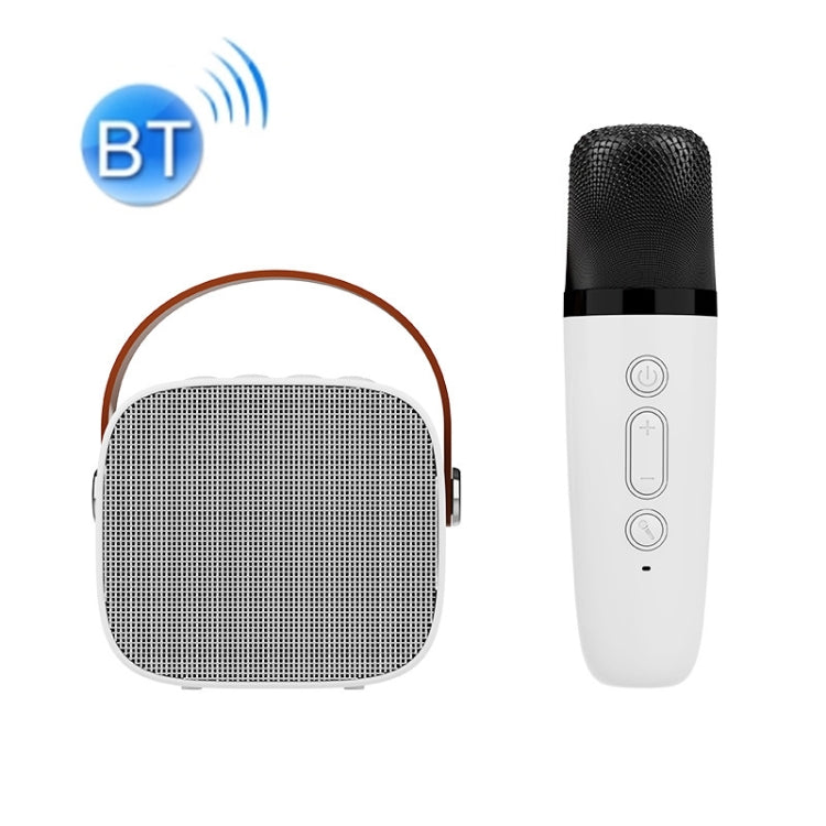 D20 Multifunctional K Song Bluetooth Speaker With Microphone