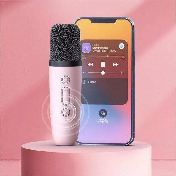 D20 Multifunctional K Song Bluetooth Speaker With Microphone