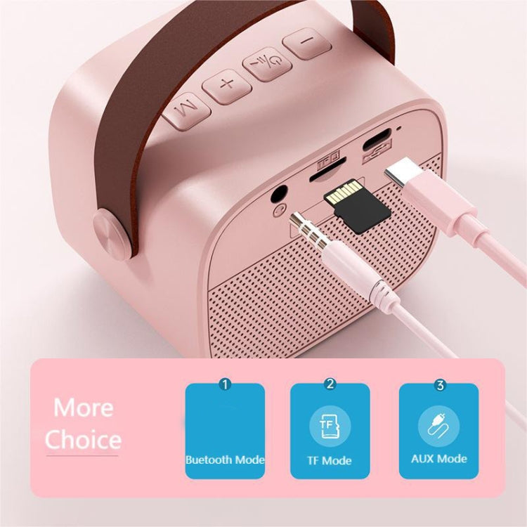 D20 Multifunctional K Song Bluetooth Speaker With Microphone