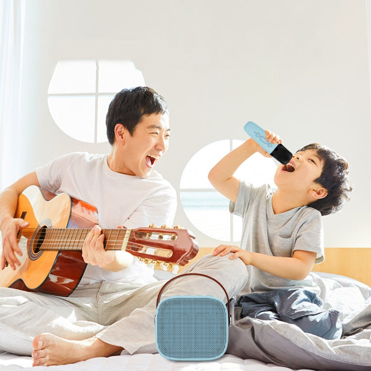 D20 Multifunctional K Song Bluetooth Speaker With Microphone
