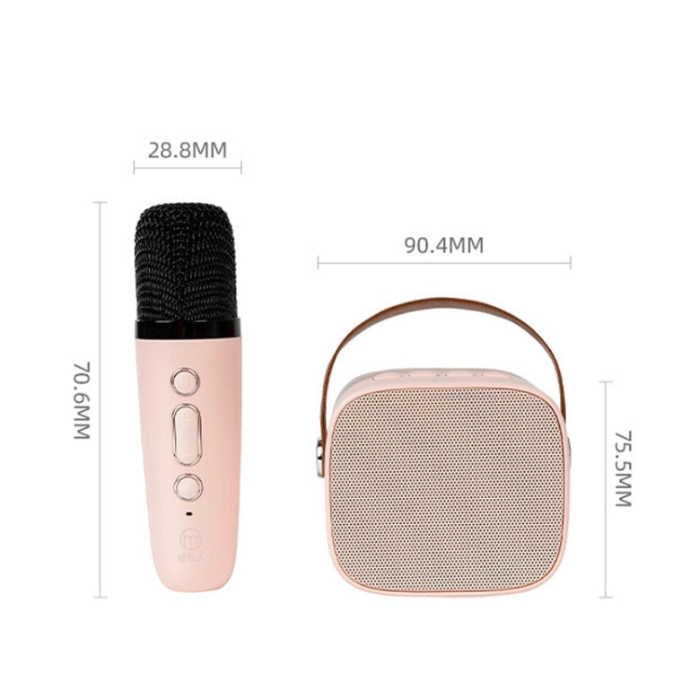 D20 Multifunctional K Song Bluetooth Speaker With Microphone