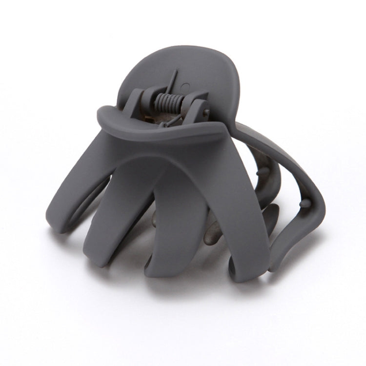 10pcs Frosted Ladies Coiffure Hair Grab Hair Clip