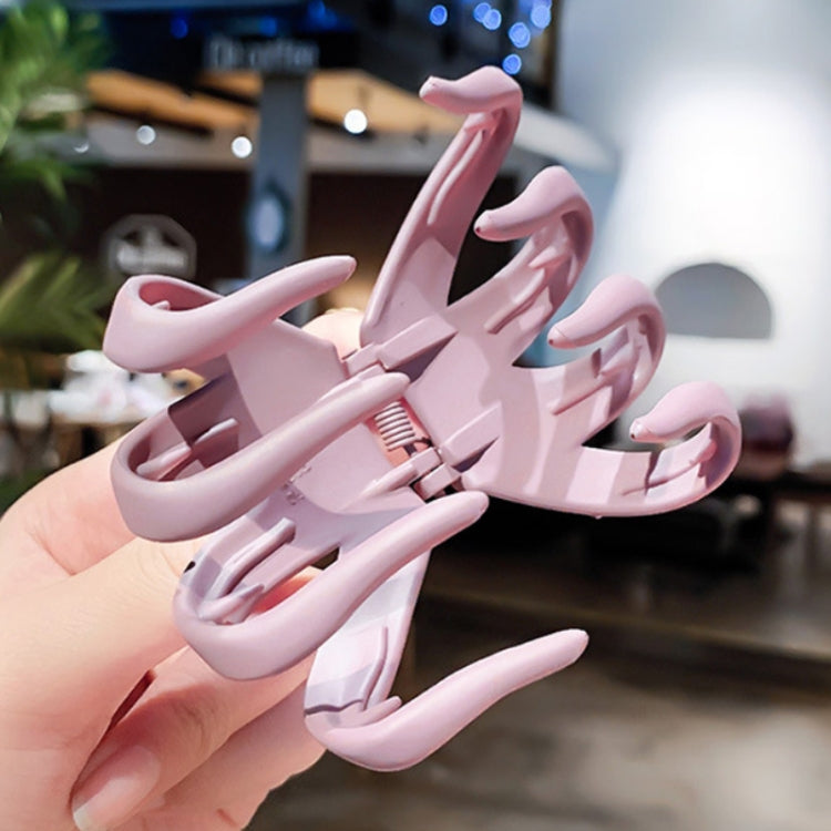 10pcs Frosted Ladies Coiffure Hair Grab Hair Clip