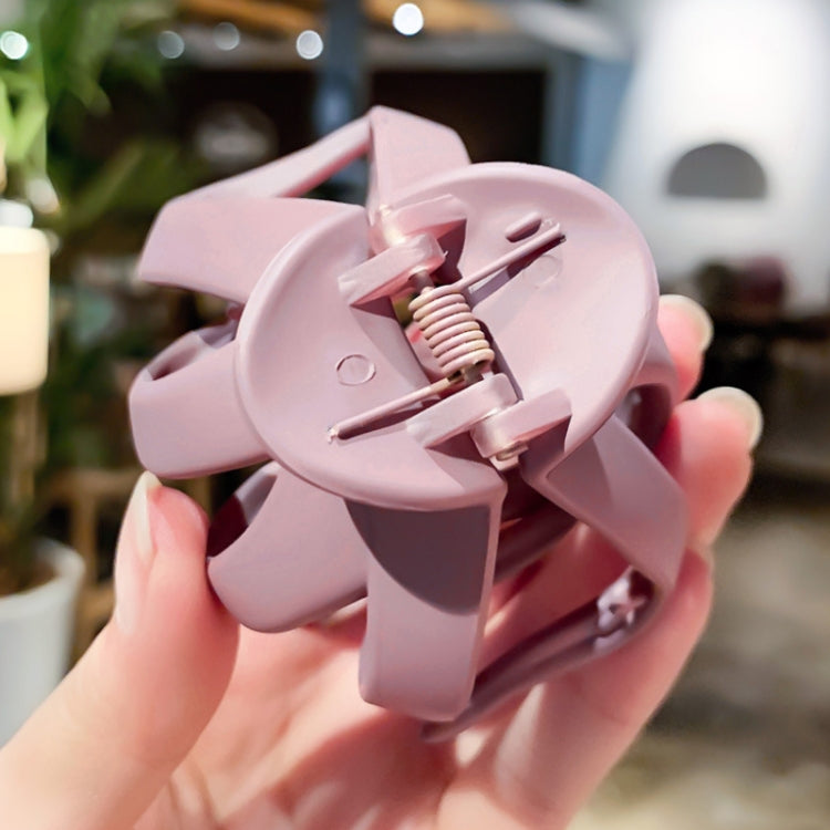 10pcs Frosted Ladies Coiffure Hair Grab Hair Clip