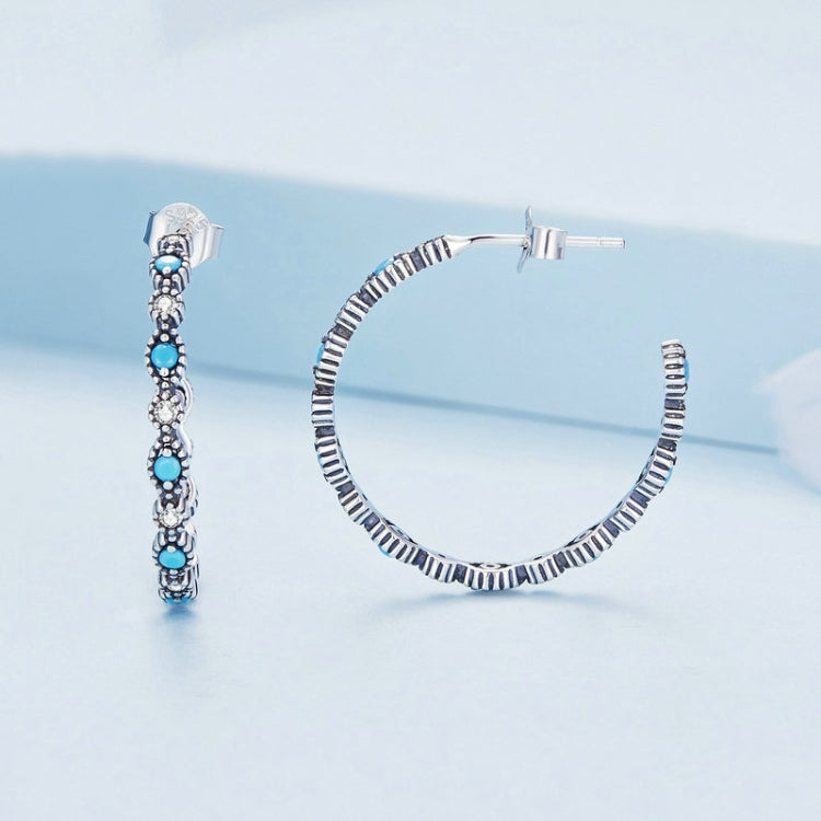 BSE754 Sterling Silver S925 Devil Eye Sparkling Zirconia Earrings