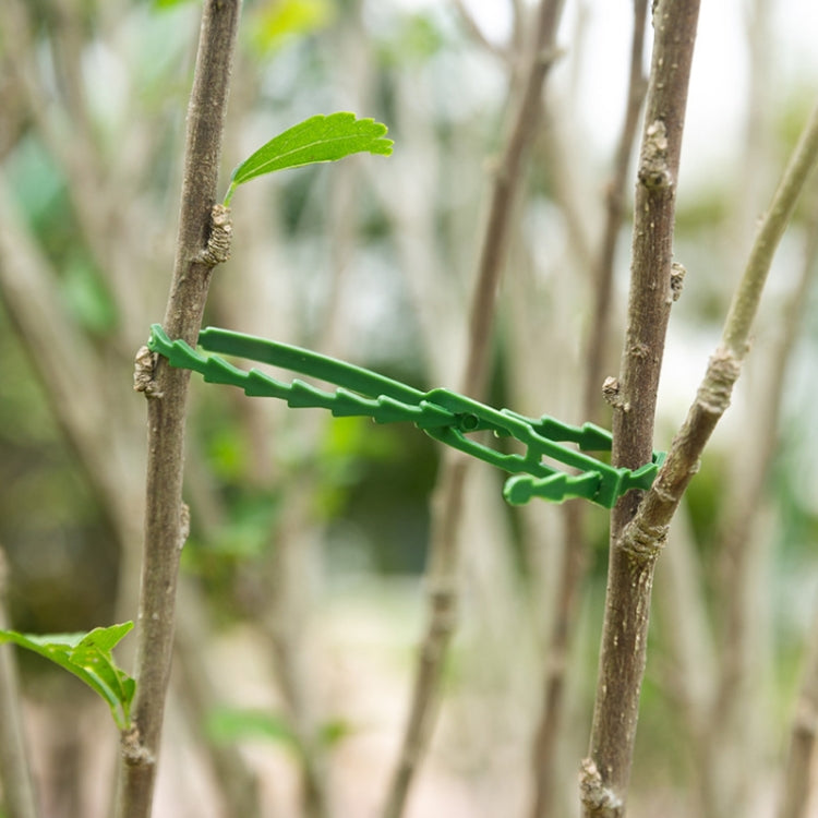 2pairs Multi-Purpose Garden Plants Fishbone Cable Ties, Length: 17cm/50pcs