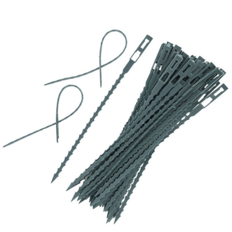 2pairs Multi-Purpose Garden Plants Fishbone Cable Ties, Length: 23cm/50pcs