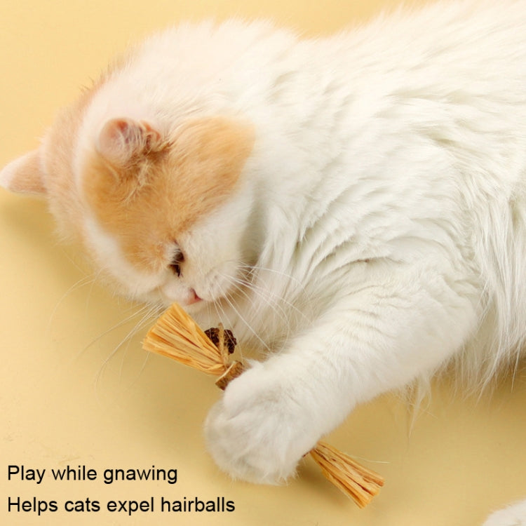 5pcs Cat Teething Stick Toy Teeth Cleaning Catnip Teasing Stick