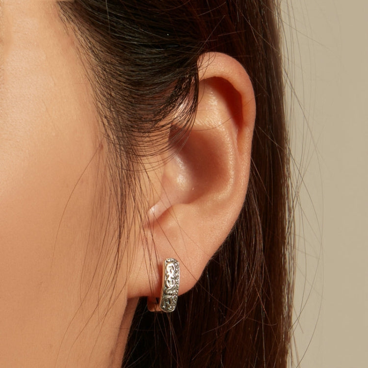 SCE1545 S925 Sterling Silver Vintage Zircon Pattern Earrings