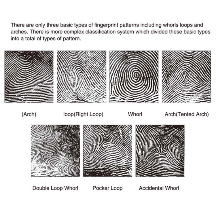 Fingerprint Verification Set Toys Science Experiments Intellectual Toys