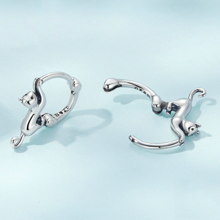 Sterling Silver S925 Diamond Stretch Cat Stretch Earrings, Size: Small Platinum Plated