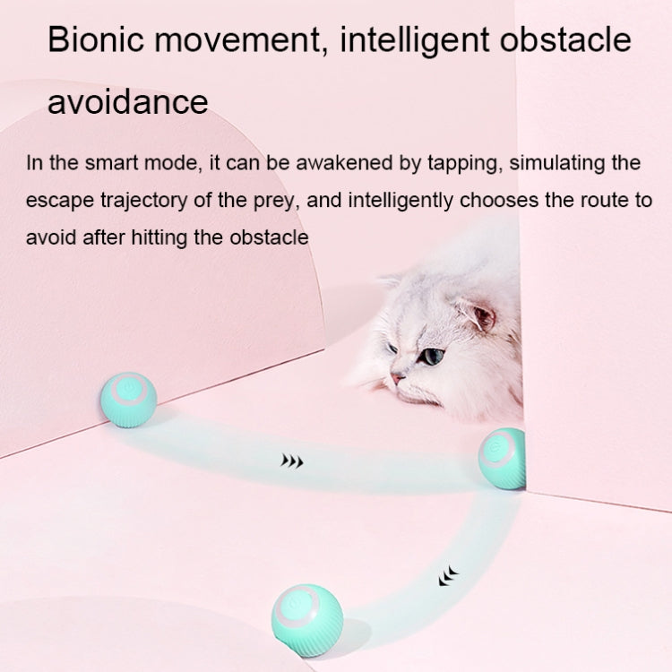 0001 Smart Gravity Teaser Cat Rolling Ball Teeth Resistant Cat Toys