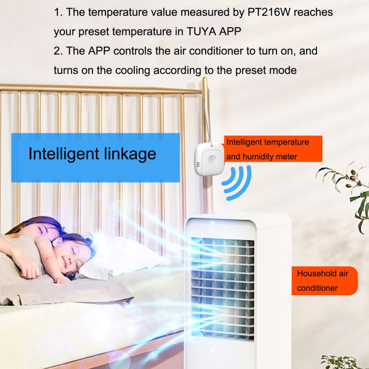 PT216W Indoor And Outdoor Sensor No Screen Graffiti WIFI Model Household Temperature And Humidity Meter