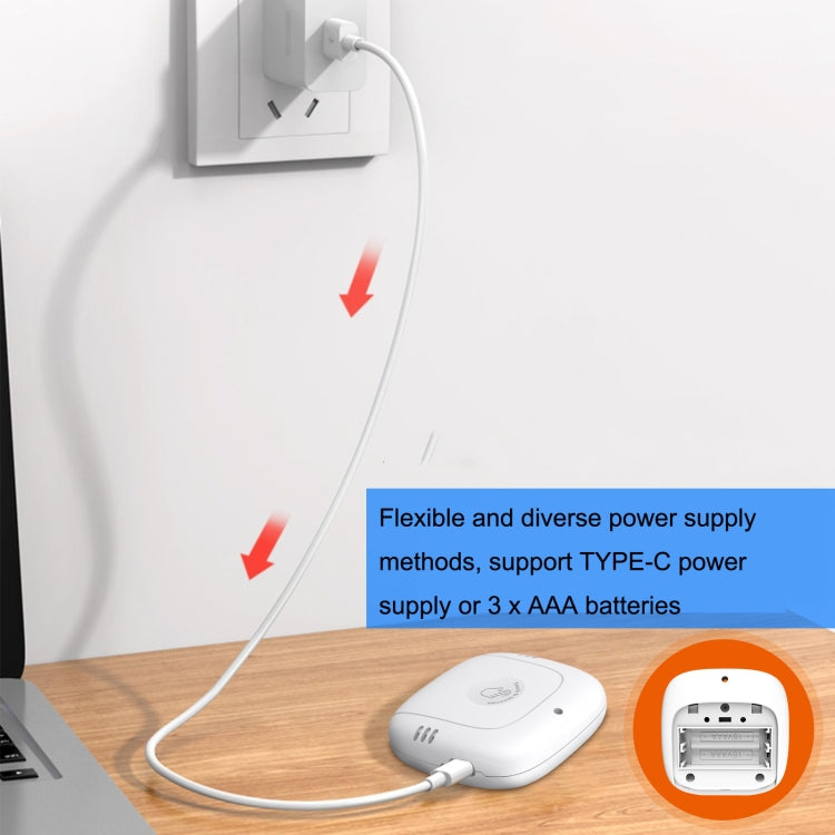PT216W Indoor And Outdoor Sensor No Screen Graffiti WIFI Model Household Temperature And Humidity Meter