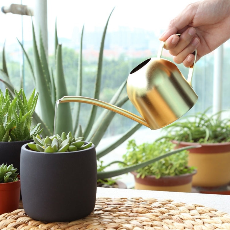 450ML Stainless Steel Long Mouth Gardening Watering Pot