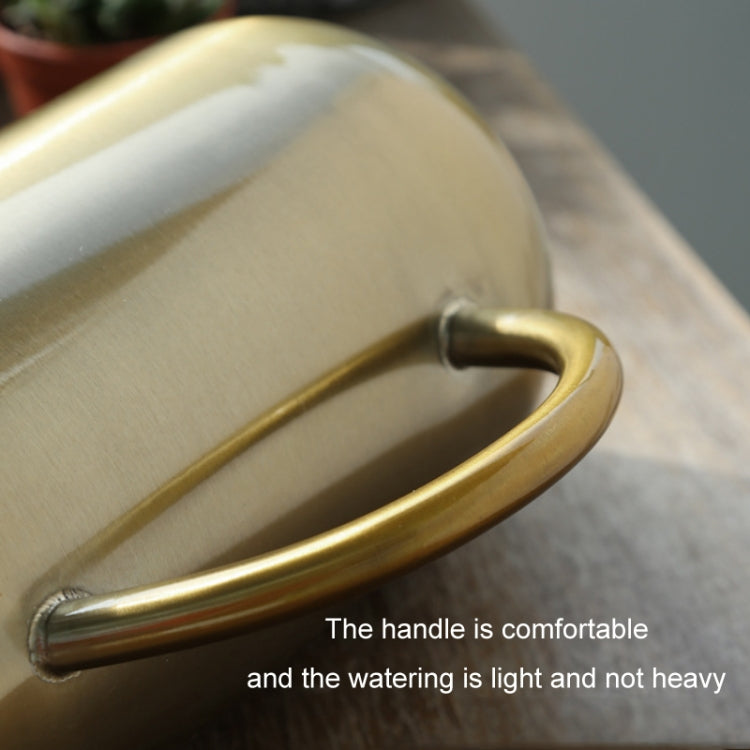 1500ML Household Gardening Stainless Steel Long Spout Heighten Watering Pot, Specification: Matt Black