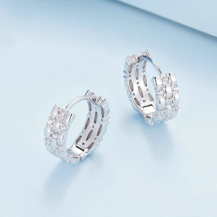 BSE786 Sterling Silver S925 Zircon Plated Platinum Earrings