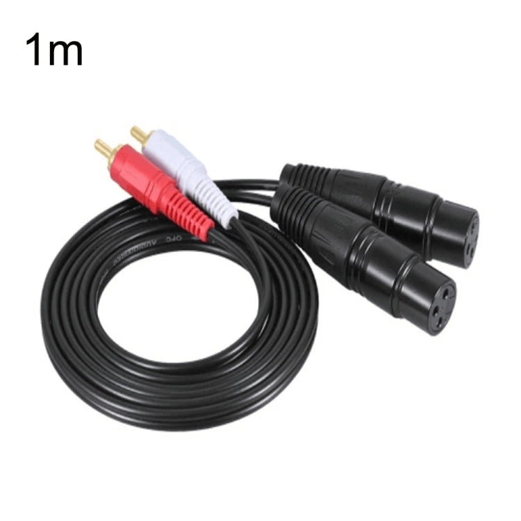 2RCA To 2XLR Speaker Canon Cable Audio Balance Cable, Size: 1m