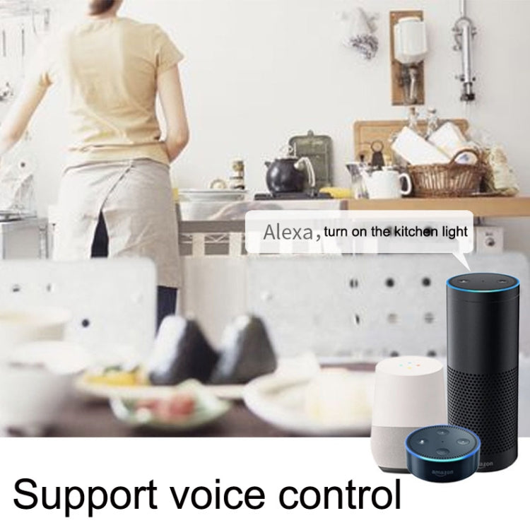 Tuya ZigBee 2 Ways Dimming Switch APP Phone Voice Control Modification Module Zero Firewire Edition