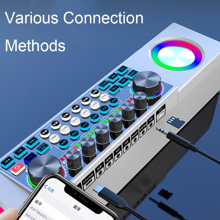 X80 Portable Multifunctional Live Singing Wireless Bluetooth Sound Card Speaker (Black)