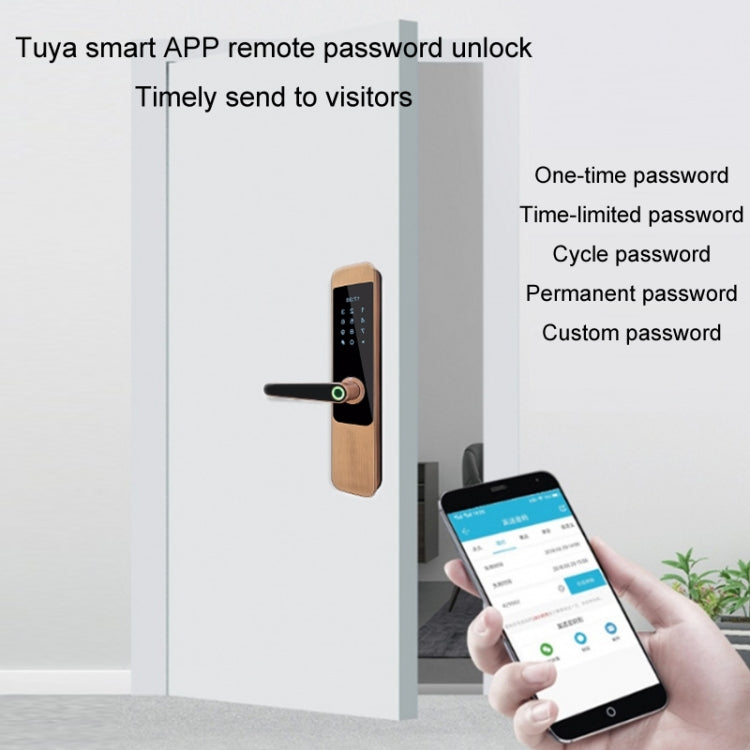 M8 Tuya Smart Wifi Fingerprint Anti-Theft Remote Control Electronic Door Lock, Specification: Bronze 30x240mm