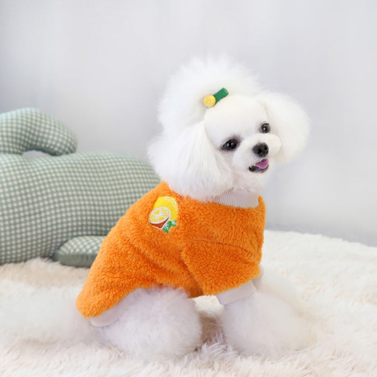 2pcs Dogs Keep Warm Two Feet Clothes Bipanda Cat Clothes, Size: