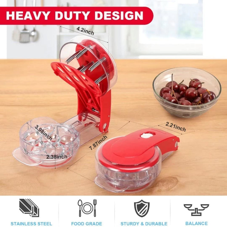 DHQ-01 Cherry Lychee Jujube 6 Holes Core Remover Kitchen Gadget