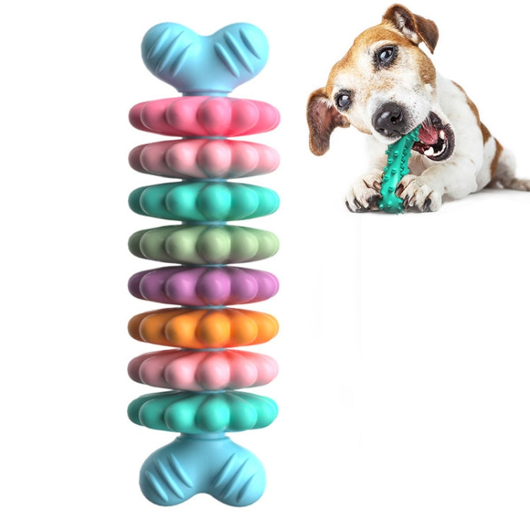 BG5051 Pet Chew Toys Bone Shape Dog Teething Sticky, Style:
