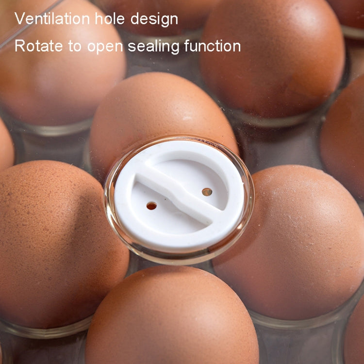 PET with Lid 24 Grids Egg Storage Box Refrigerator Egg Fresh Box