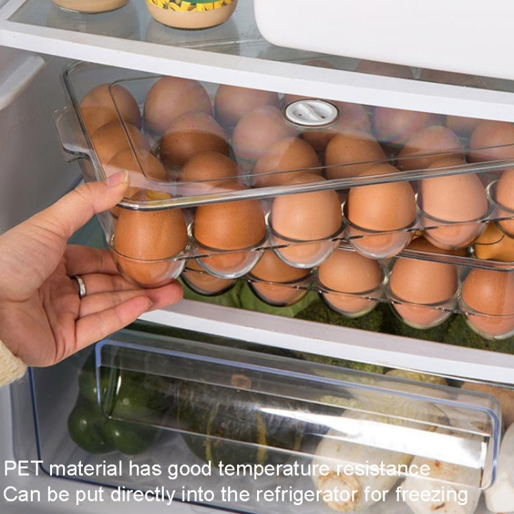 PET with Lid 24 Grids Egg Storage Box Refrigerator Egg Fresh Box