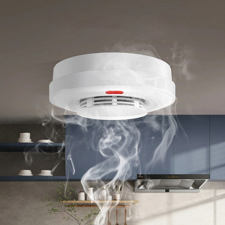 Intelligent Smoke Alarm Remote Fire Smoke Detector, Model: A