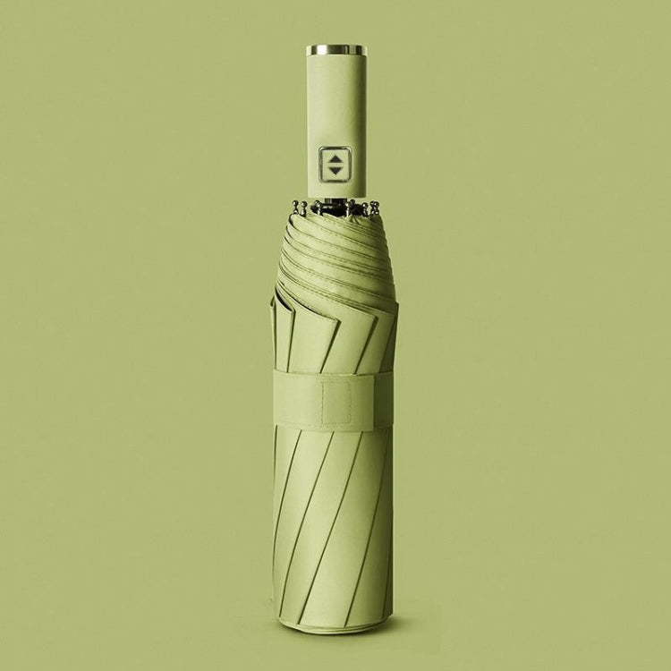 Fully Automatic Vinyl Right Umbrella