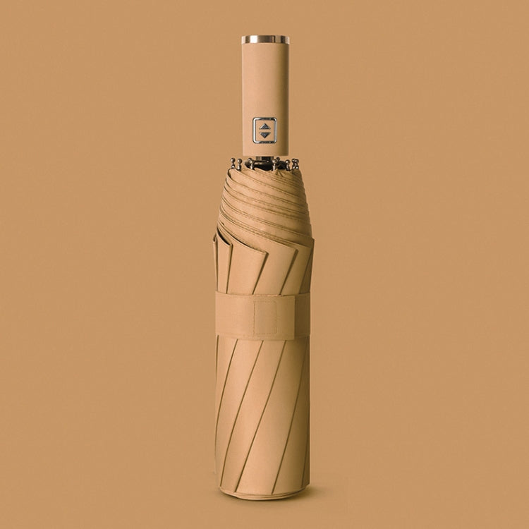 Fully Automatic Vinyl Right Umbrella