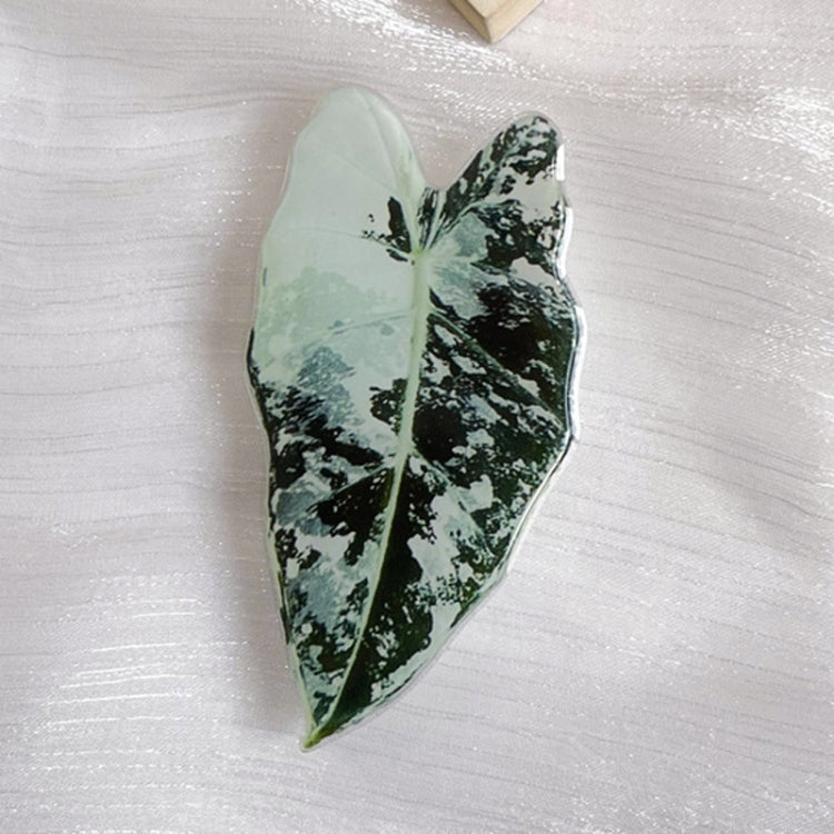 5pcs Alien Acali Simulation Leaf Airbag Support Desktop Can Retractable Back Paste Dripping Phone Bracket