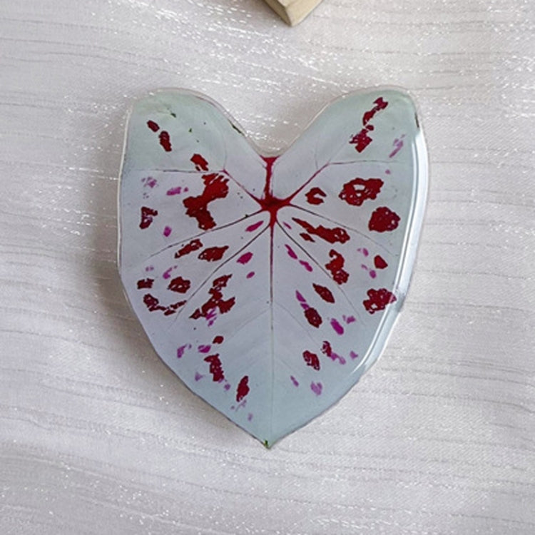 5pcs Alien Acali Simulation Leaf Airbag Support Desktop Can Retractable Back Paste Dripping Phone Bracket