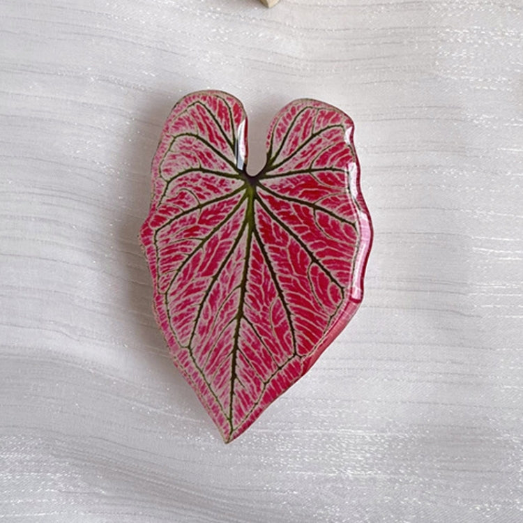 5pcs Alien Acali Simulation Leaf Airbag Support Desktop Can Retractable Back Paste Dripping Phone Bracket