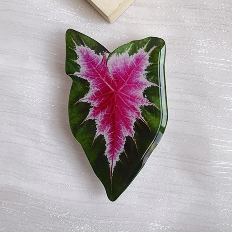 5pcs Alien Acali Simulation Leaf Airbag Support Desktop Can Retractable Back Paste Dripping Phone Bracket