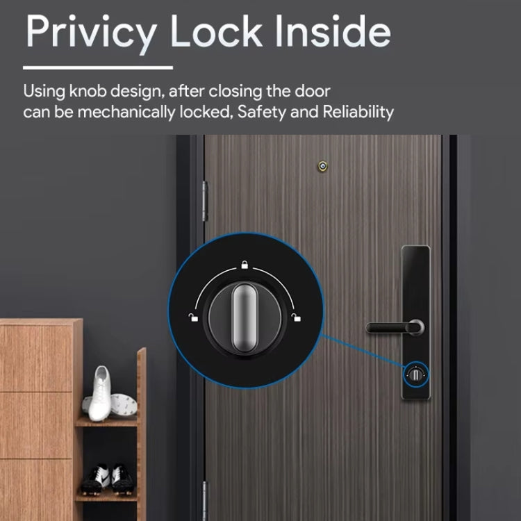 A60 Smart Fingerprint Password Door Lock With Doorbell, Spec: Tuya APP Version Gray