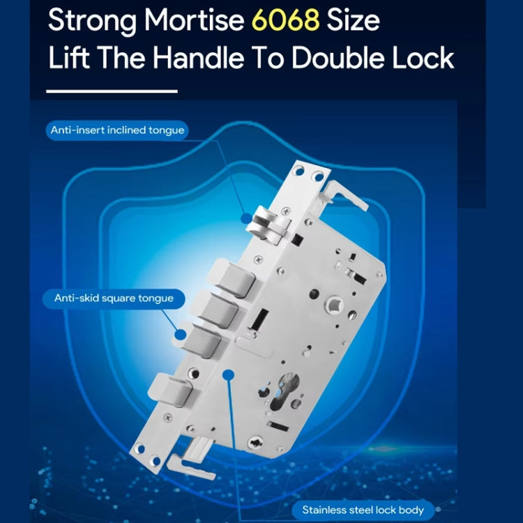 A60 Smart Fingerprint Password Door Lock With Doorbell, Spec: Tuya APP Version Gray