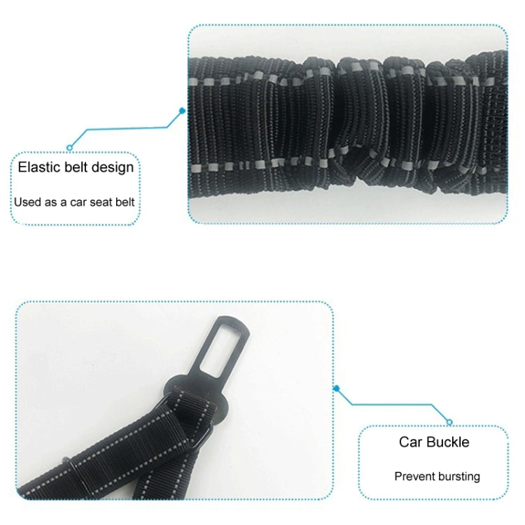 2.5 x 150cm Pet Vehicle Safety Leash Multifunctional Towing Belt Dog Leash - Black