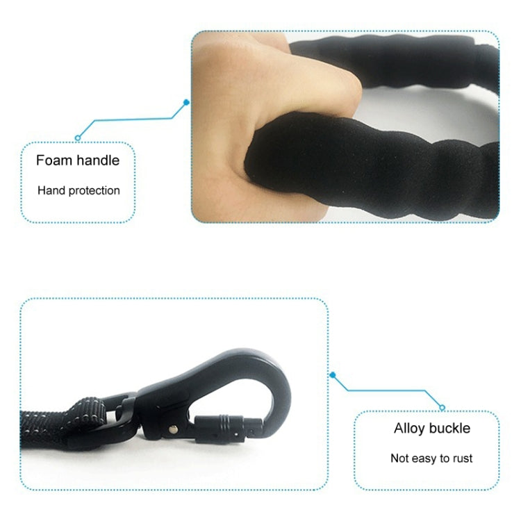 2.5 x 150cm Pet Vehicle Safety Leash Multifunctional Towing Belt Dog Leash - Black
